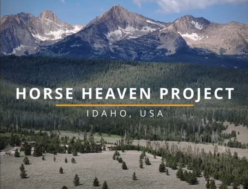 Next Investors Image