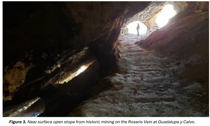 Next Investors Image