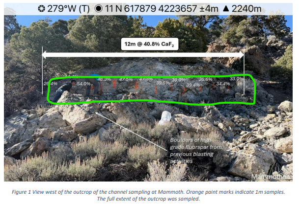 Next Investors Image