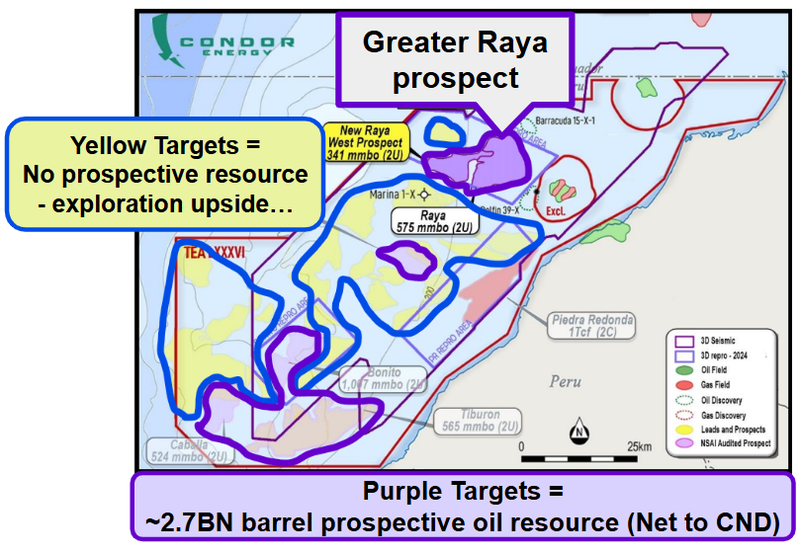 Next Investors Image