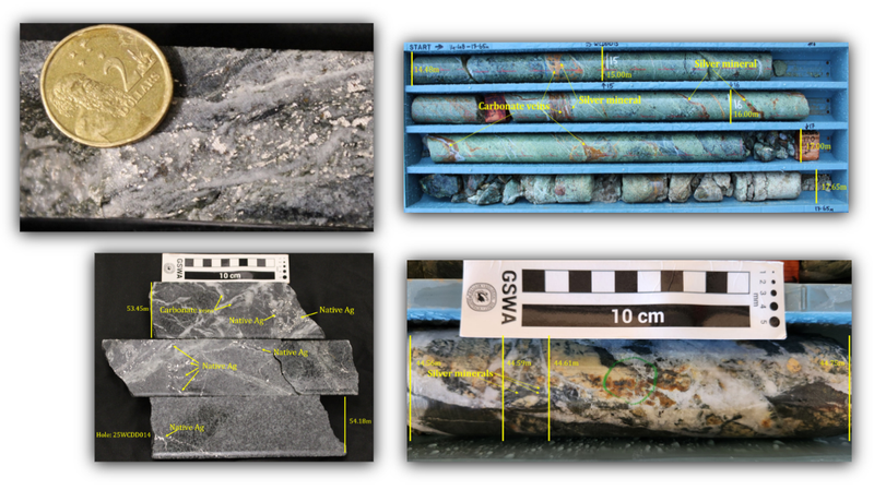 Next Investors Image