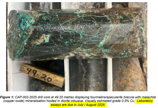 Next Investors Image