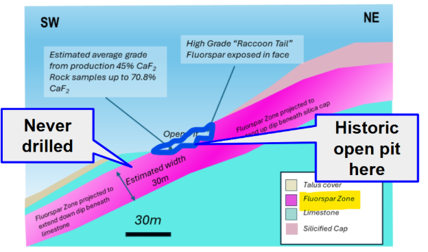 Next Investors Image