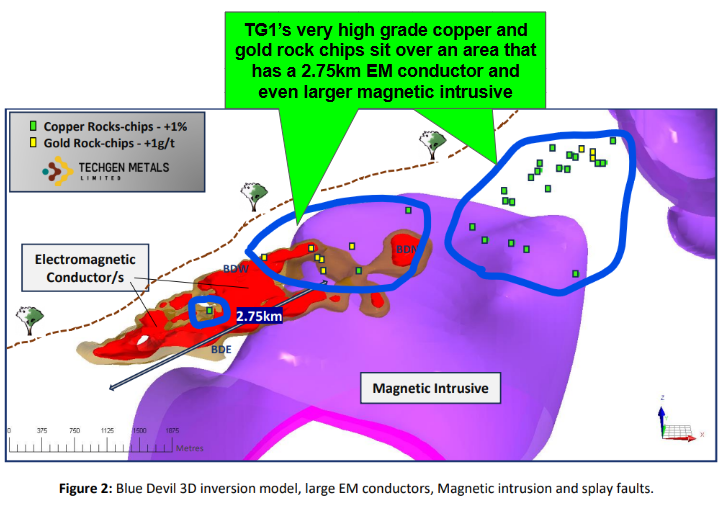 Next Investors Image
