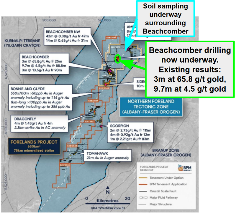 Next Investors Image