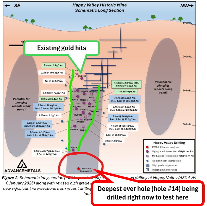 Next Investors Image