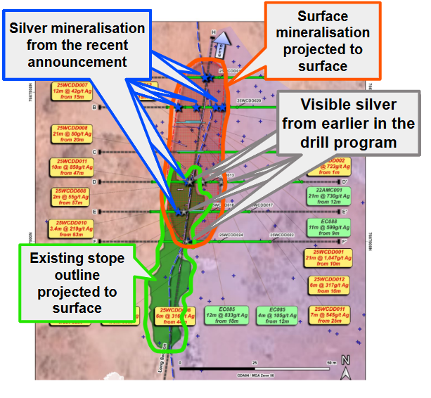 Next Investors Image