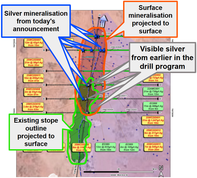Next Investors Image