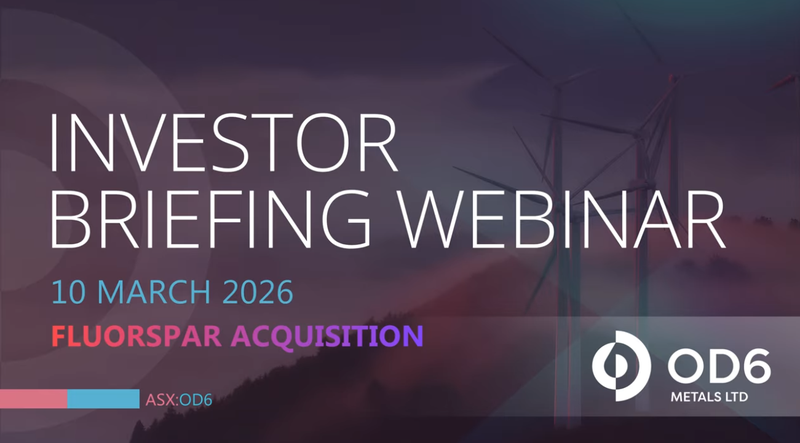 Next Investors Image