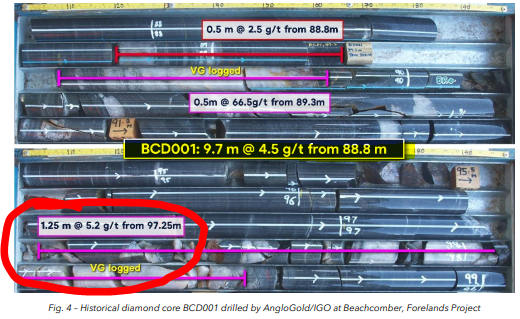 Next Investors Image