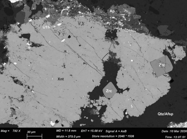 Next Investors Image