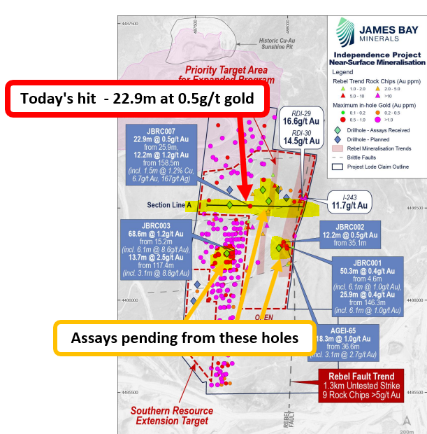 Next Investors Image
