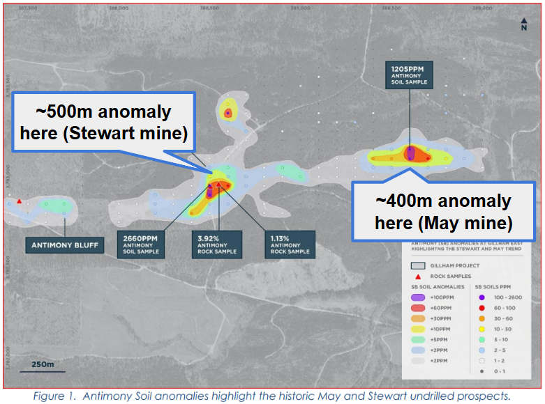 Next Investors Image