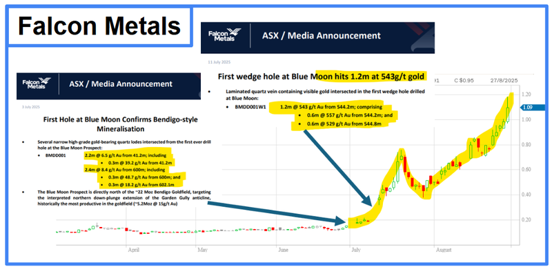 Next Investors Image