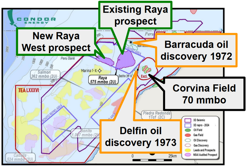 Next Investors Image