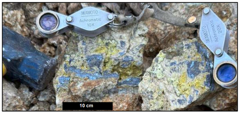 Next Investors Image