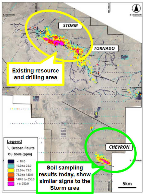 Next Investors Image