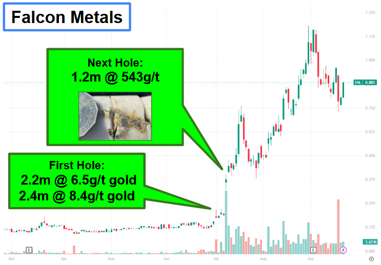 Next Investors Image