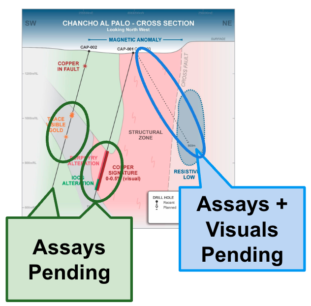 Next Investors Image