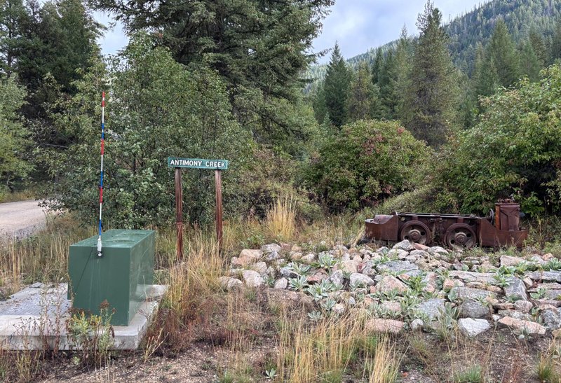 Next Investors Image