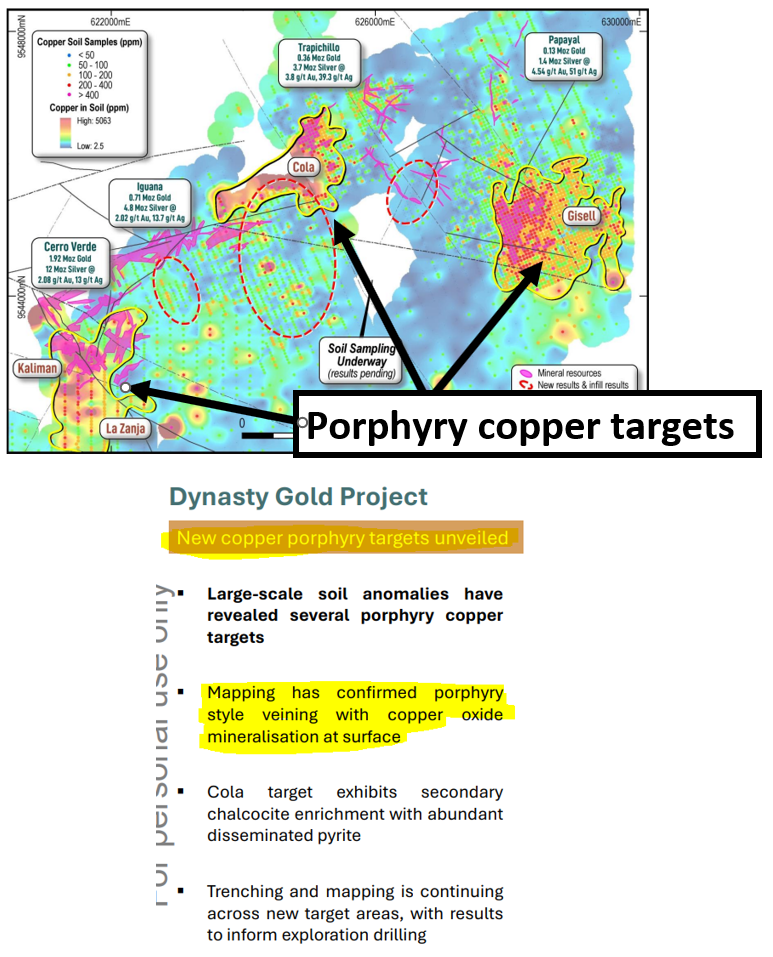 Next Investors Image