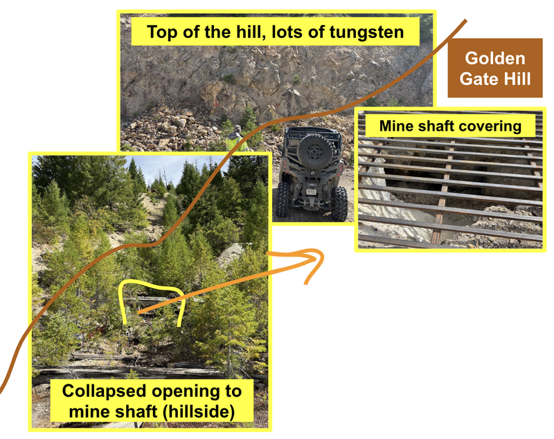 Next Investors Image