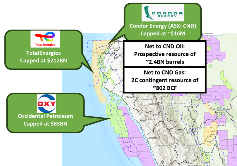 Next Investors Image