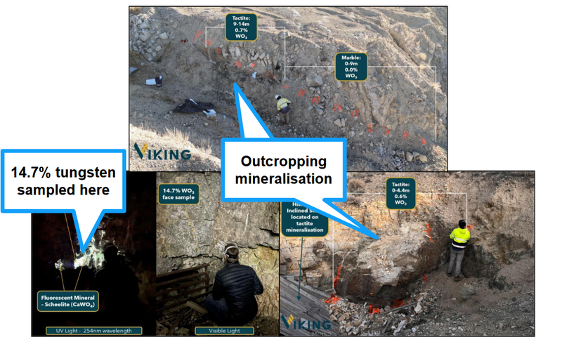 Next Investors Image