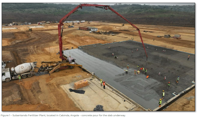 Next Investors Image