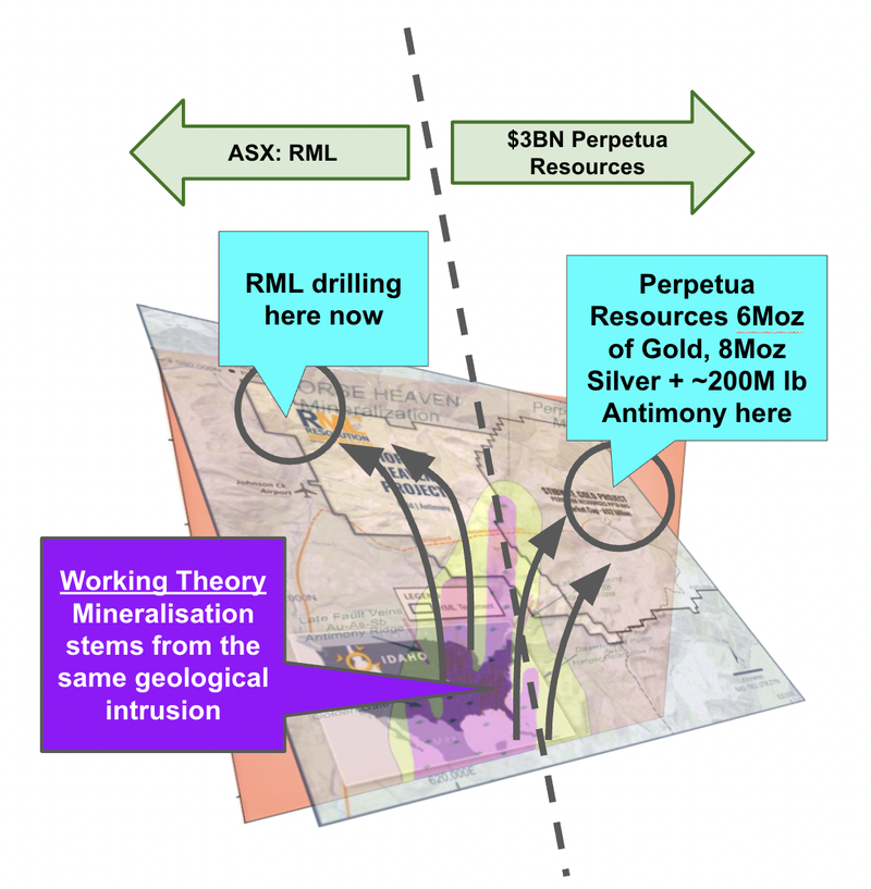 Next Investors Image