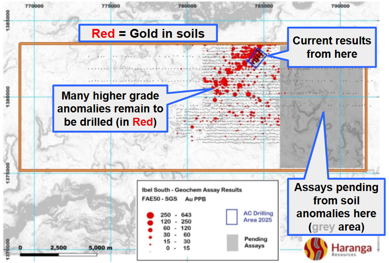 Next Investors Image