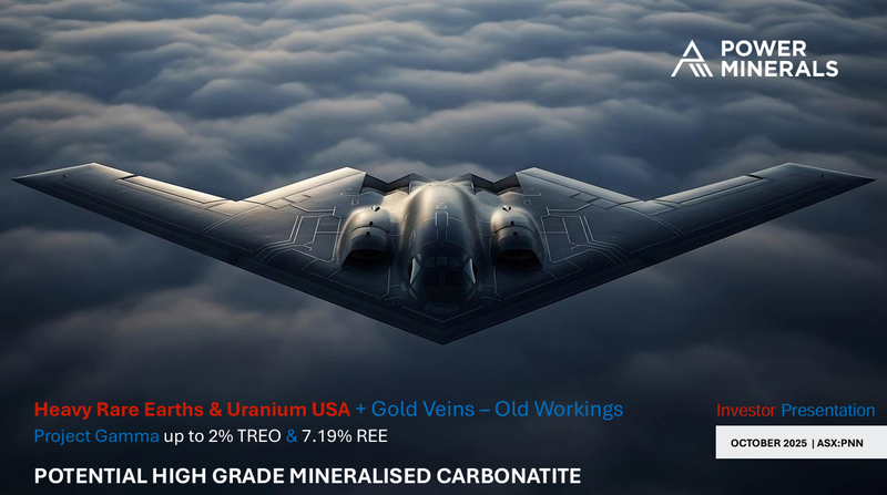 Next Investors Image