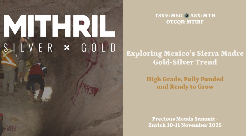 Next Investors Image