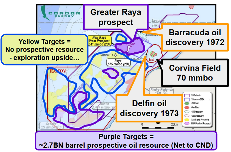 Next Investors Image