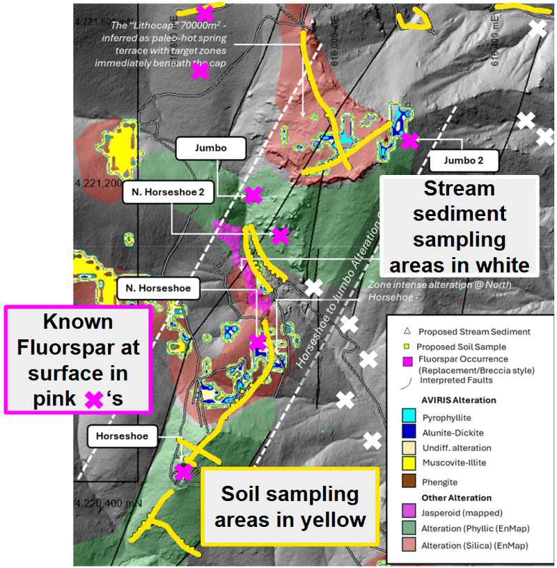 Next Investors Image