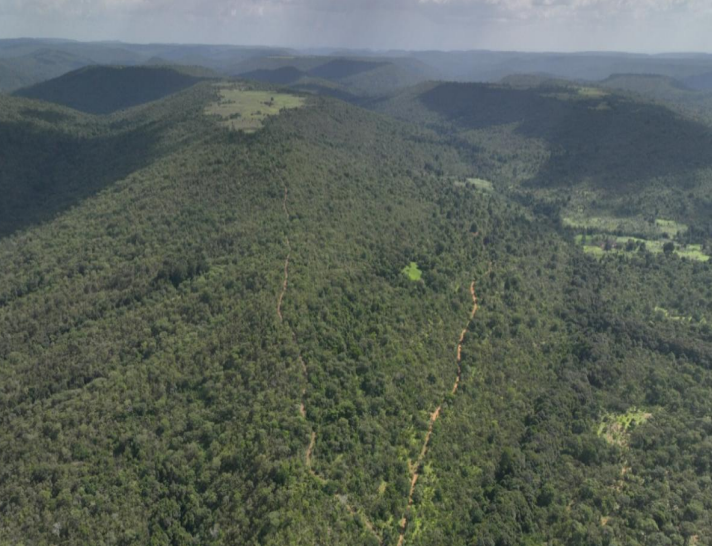 Next Investors Image