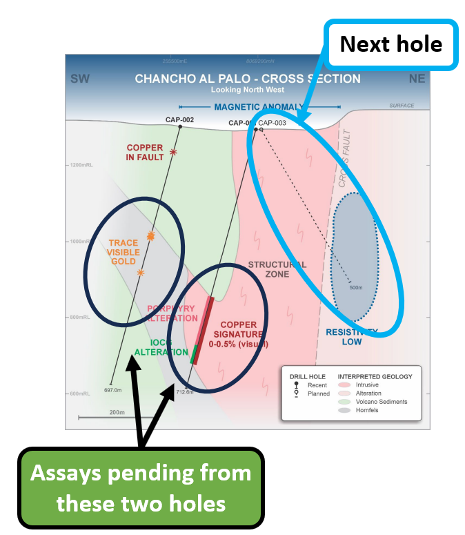 Next Investors Image