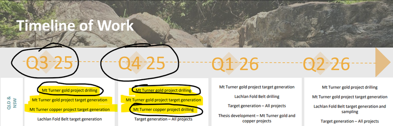 Next Investors Image