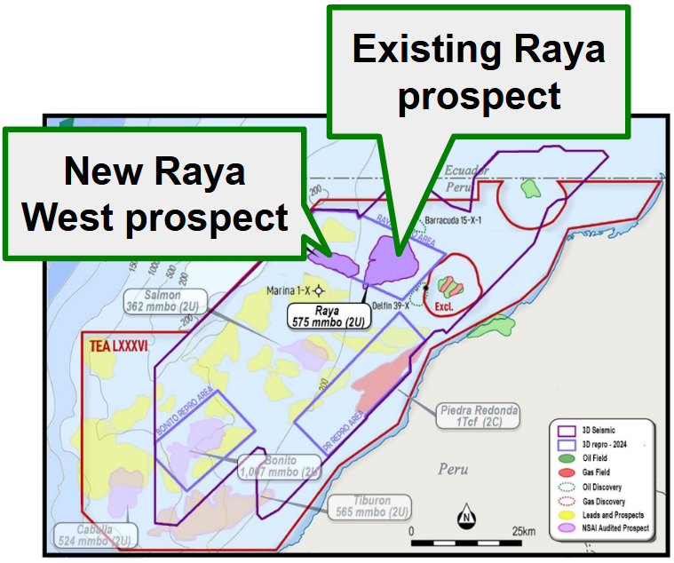 Next Investors Image