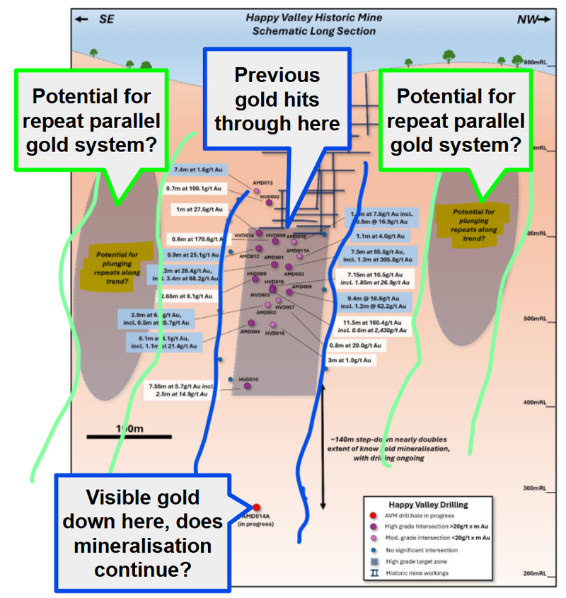 Next Investors Image