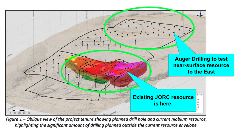 Next Investors Image