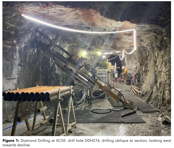 Next Investors Image