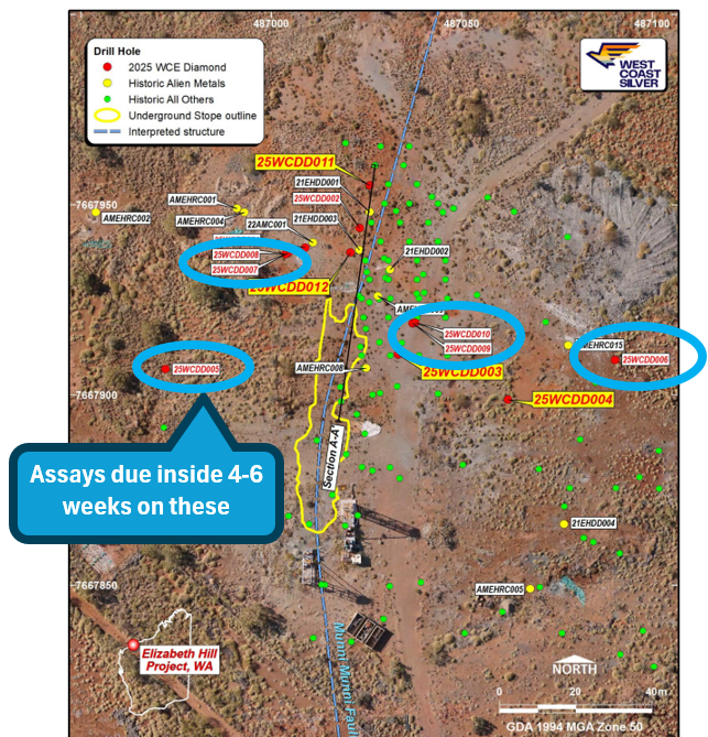 Next Investors Image