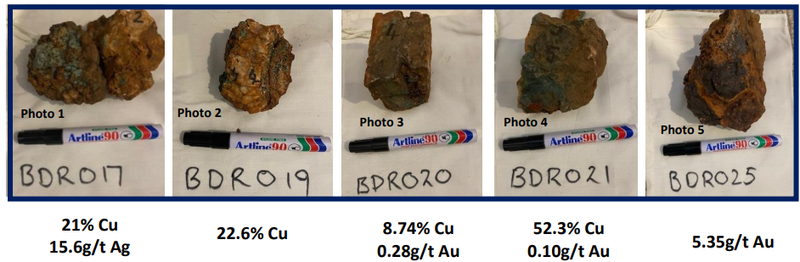 Next Investors Image