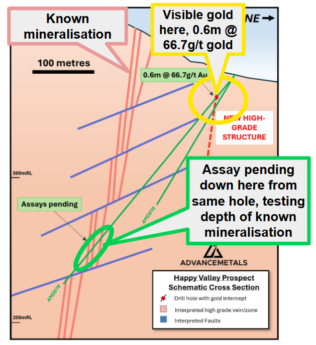 Next Investors Image