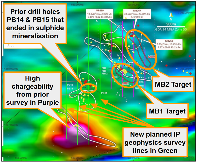 Next Investors Image