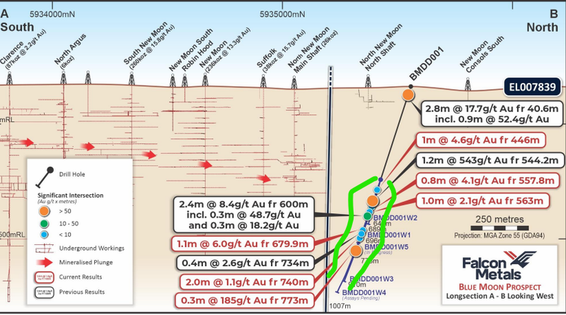 Next Investors Image