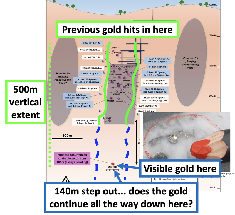 Next Investors Image