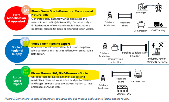 Next Investors Image