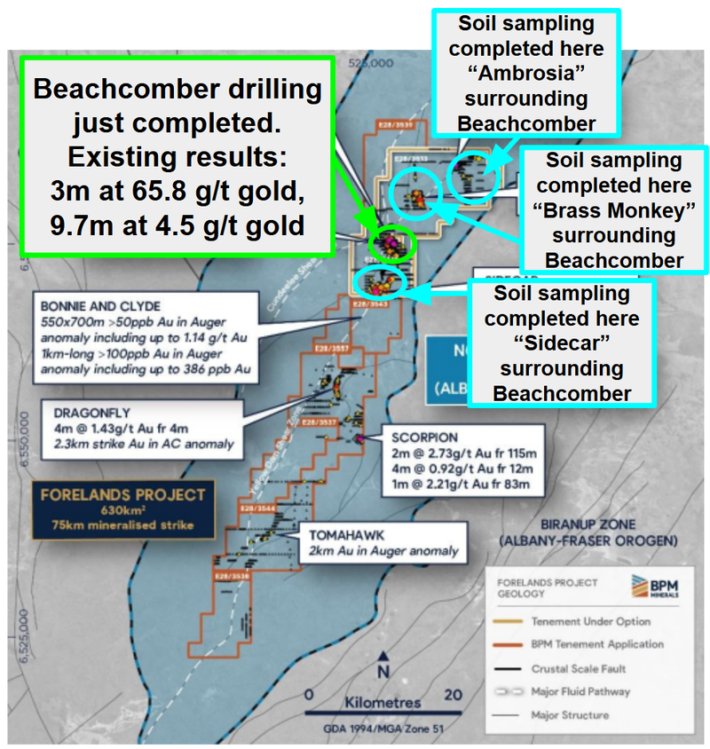 Next Investors Image